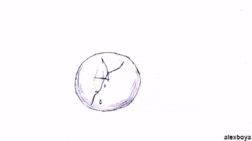 200.gif?cid=fc005b084b90ef21f12996e02445a499cd824c408d42036a&rid=200.gif&ct=g