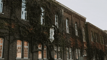 College GIF