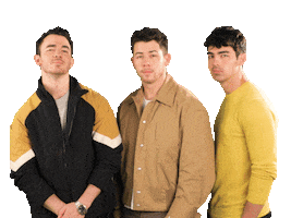 Nick Jonas Hello Sticker by Jonas Brothers