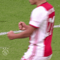 Martinez Yes GIF by AFC Ajax