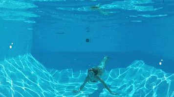 Piscine GIF