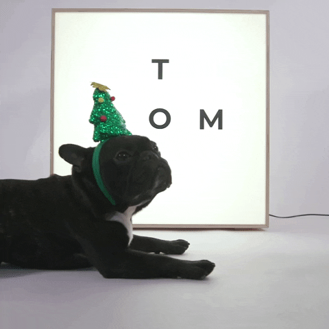 Dog Christmas GIF by TOPTEMP