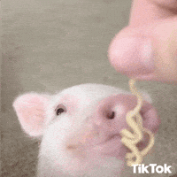 Piggy GIFs