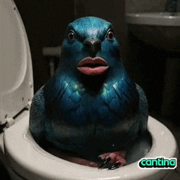 Ai Pigeon GIF by Cantina