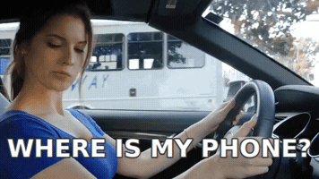 phuongtai  GIF