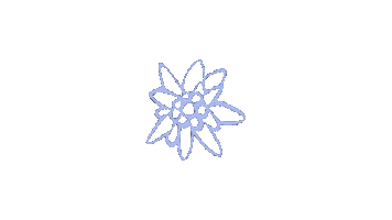 Juniors Flor de Neu Sticker