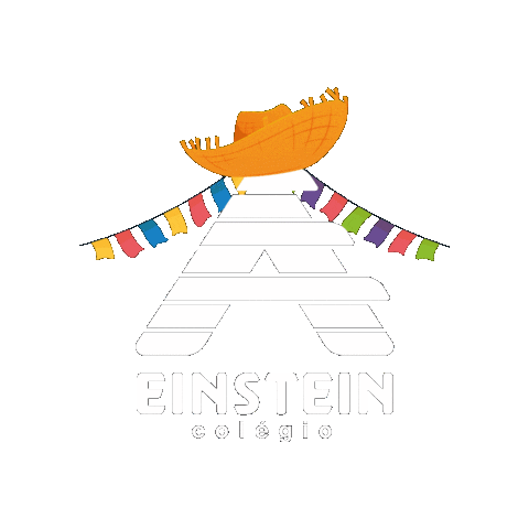 Festajunina Sticker by Colégio A. Einstein