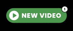 New Video GIF by BRANDZONE