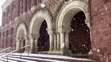 Snow Hls GIF by Harvard Law School