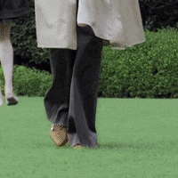 200.gif?cid=fc005b08139d1e31c53fc3501adb17d7740e667d8f18584e&rid=200.gif&ct=g