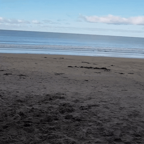 Janine Wittig | KreativMentorin GIF