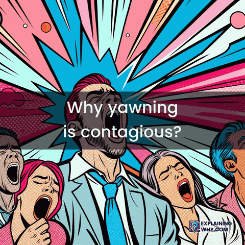 Empathy Yawning GIF by ExplainingWhy.com