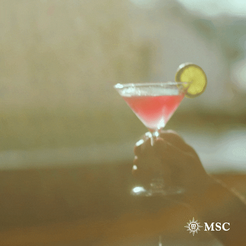 Fun Celebrate GIF by MSC Cruises Official