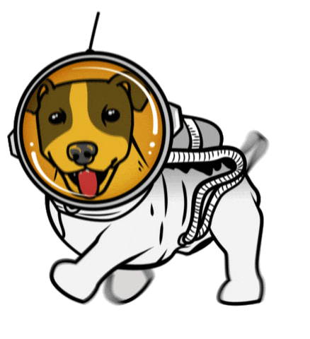 Sebe Boekhouders Sticker