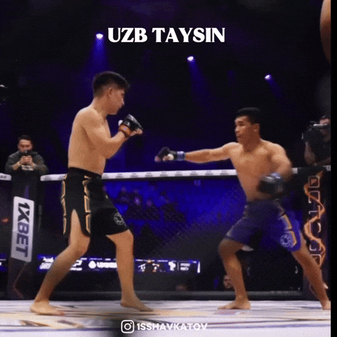 Uzbekistan Octagon GIF