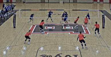 Bic GIF by Brown Volleyball