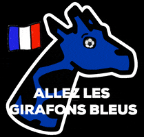 Football Euro GIF by girafon bleu.