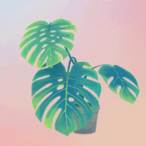 Plant GIF by Canek