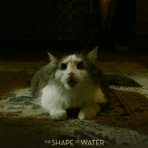 Hissing Fox Searchlight GIF by 20th Century Fox Home Entertainment
