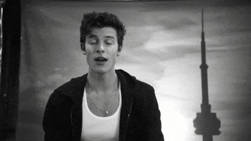 if i cant have you GIF by Shawn Mendes