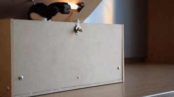 escaflair box goose disapproval useless GIF