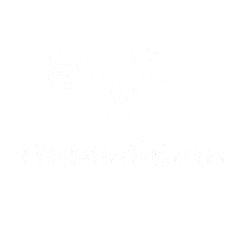 Vis24 Sticker by Vissersbond