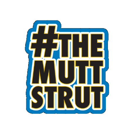 Servicedogs Sticker by Rachel G.