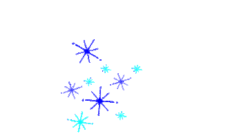 Star Snow Sticker