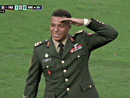 Saluting France GIF