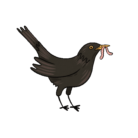 Animated Sticker