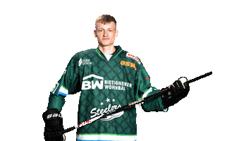 Bietigheim Steelers Sticker