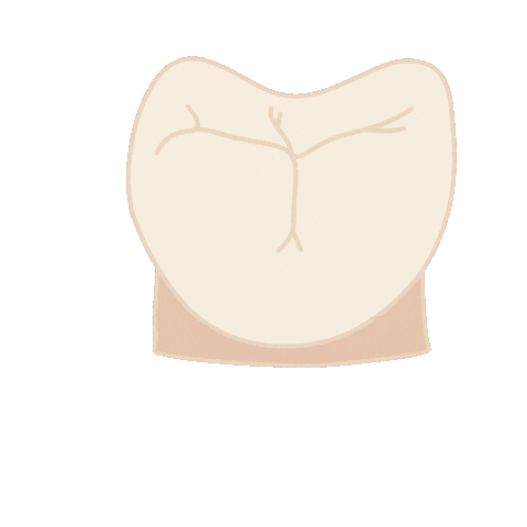 Dentista Sticker