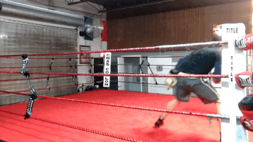 eedobarganes boxing defense cuba argument GIF