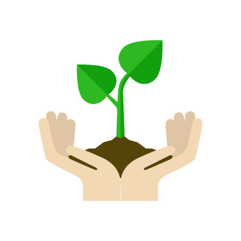 Plant Naturaleza Sticker by Olé Oficial Mx