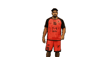 Handball Dragon Sticker by HCCA