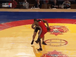Wrestling GIF
