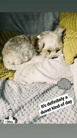 Staffroom Education GIF