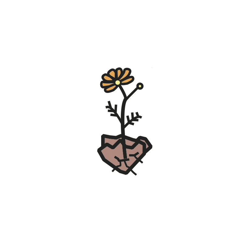 Flower Sticker by Quintal Dermocosméticos