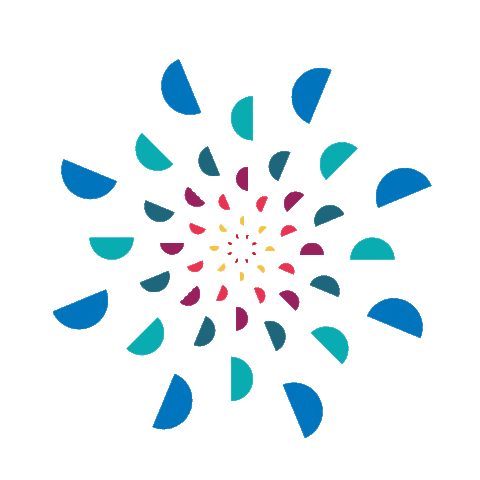 Wine Fireworks Sticker by Enartis