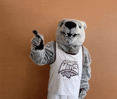 Wolf Pack Pointing GIF by Cardinal Stritch University