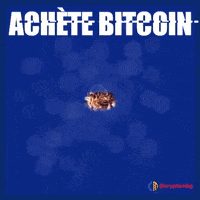 Bitcoin Francais GIF by Crypto Marketing