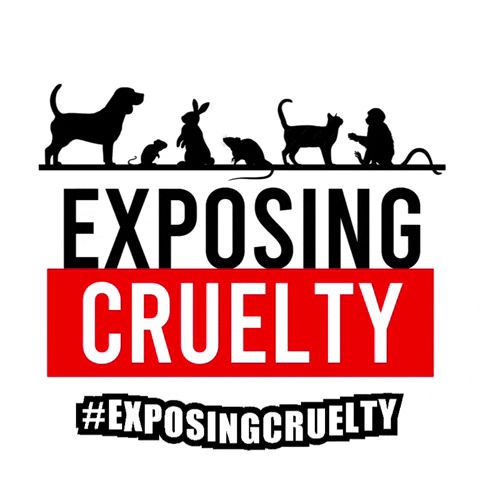 ExposingCruelty GIF