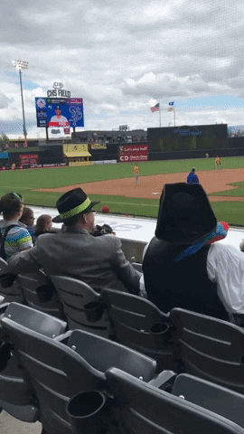 Clap Clapping GIF by St. Paul Saints