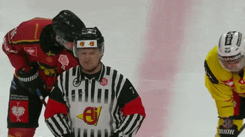 Referee Juggle GIF by Champions Hockey League