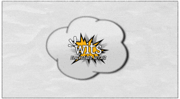 Bba GIF by WITS Chicago