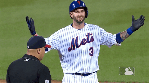 Bring It Sport GIF by New York Mets - Find & Share on GIPHY