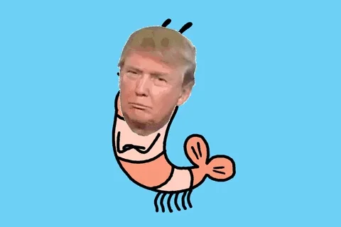 Trump GIF