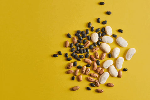 Beans Legume GIF by Rådet for sund mad - Find & Share on GIPHY