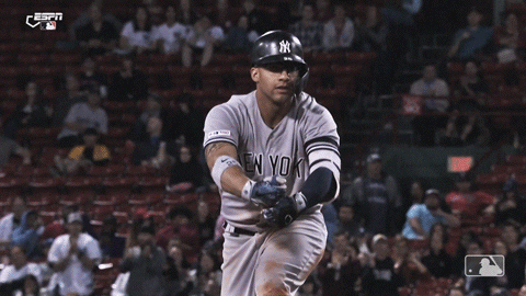 New York Yankees Sport GIF by MLB - Find & Share on GIPHY