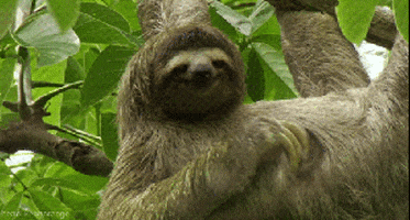 200.gif